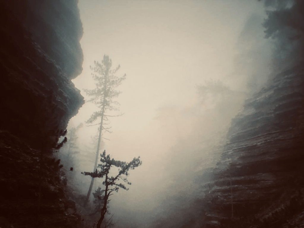 Wandering Through the Endless Night&nbsp;在漫漫长夜里流浪