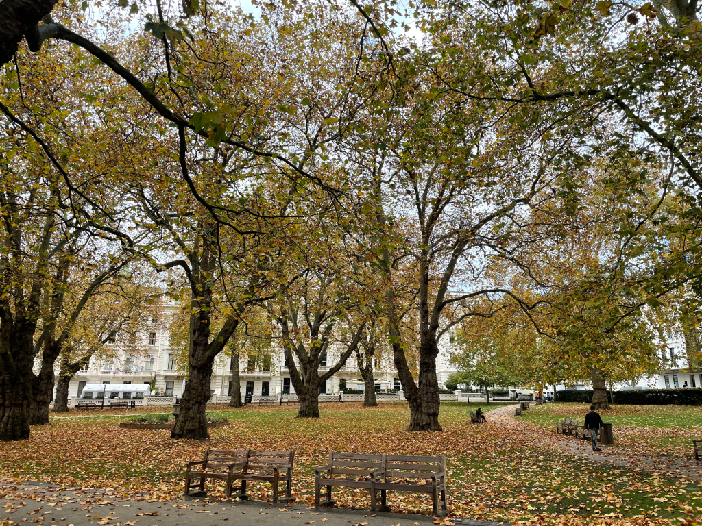 Impression London – autumn rain&nbsp;印象伦敦—秋雨