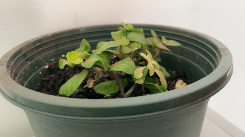 An ordinary day&nbsp;平常的日子