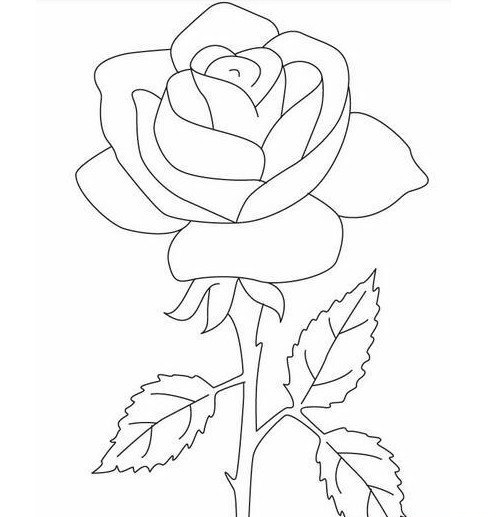 The Last Rose&nbsp;最后的玫瑰