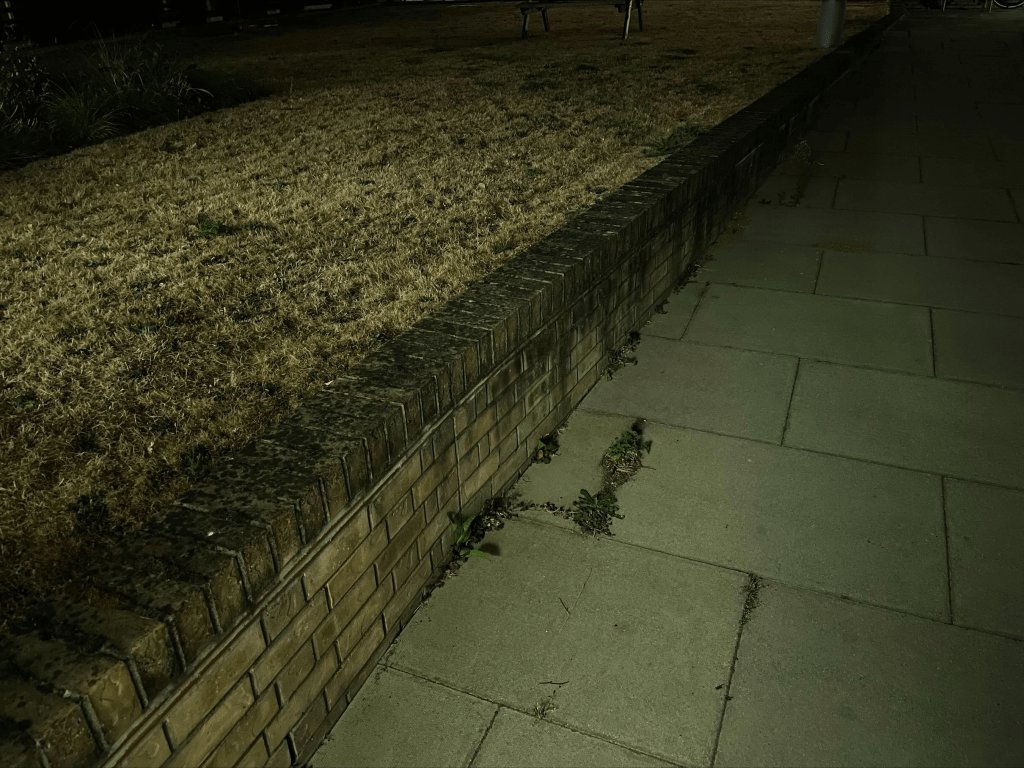 Memories of a year ago&nbsp;一年前的往事