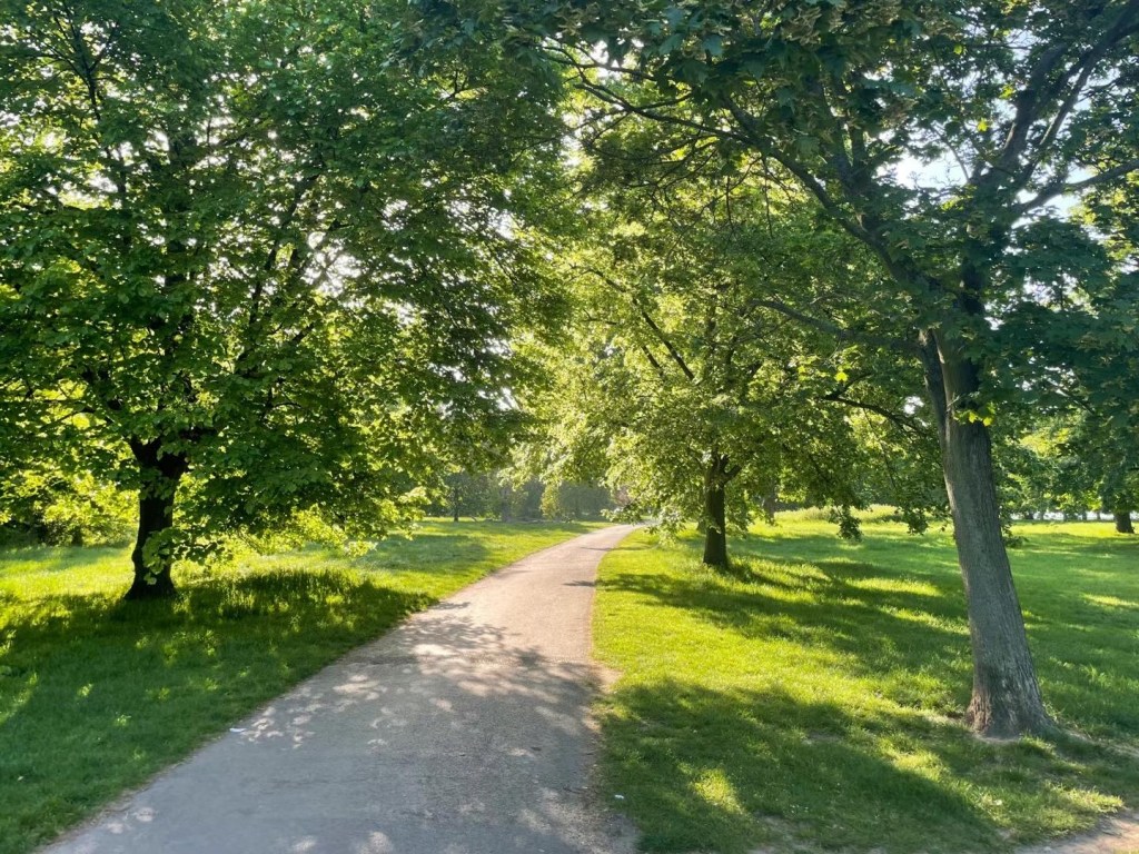 Hyde Park in Early Summer&nbsp;海德公园的初夏