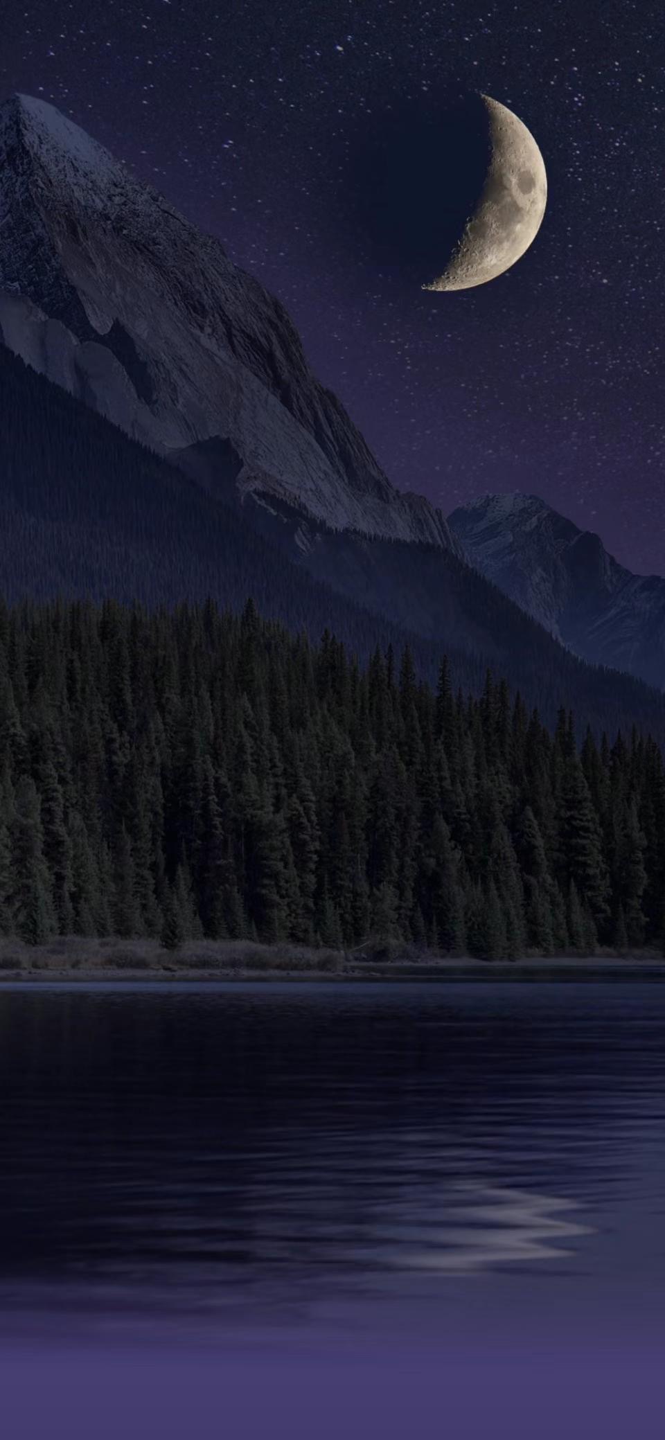 The Beauty of Life 生命的美丽