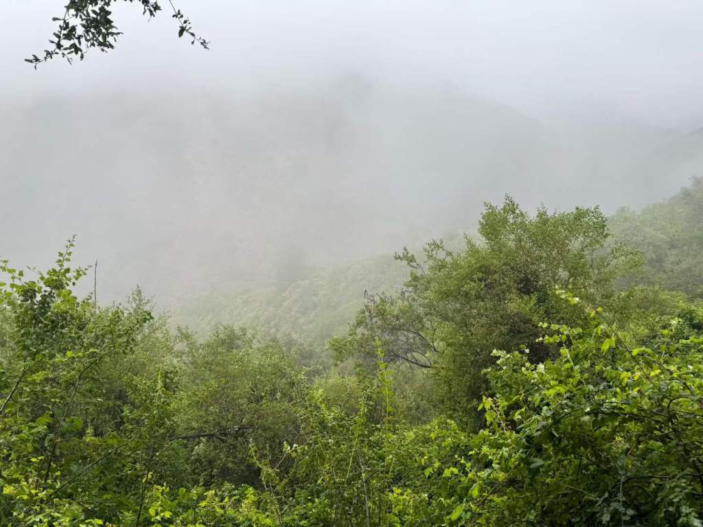 After Rain in the Mountains&nbsp;山岭的雨后